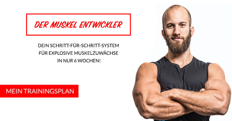 Muskel-Entwickler